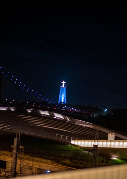 DTS_2481